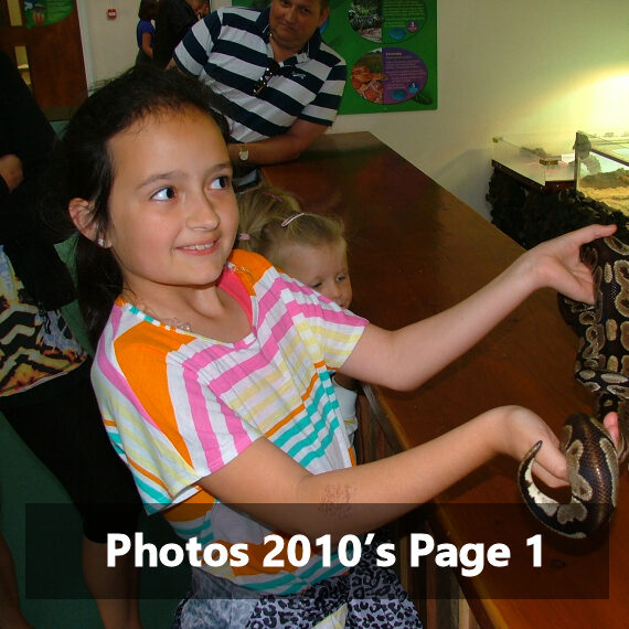 Photos 2010’s Page 1